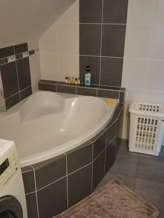 דירות Chřibská Apartman Damiko מראה חיצוני תמונה
