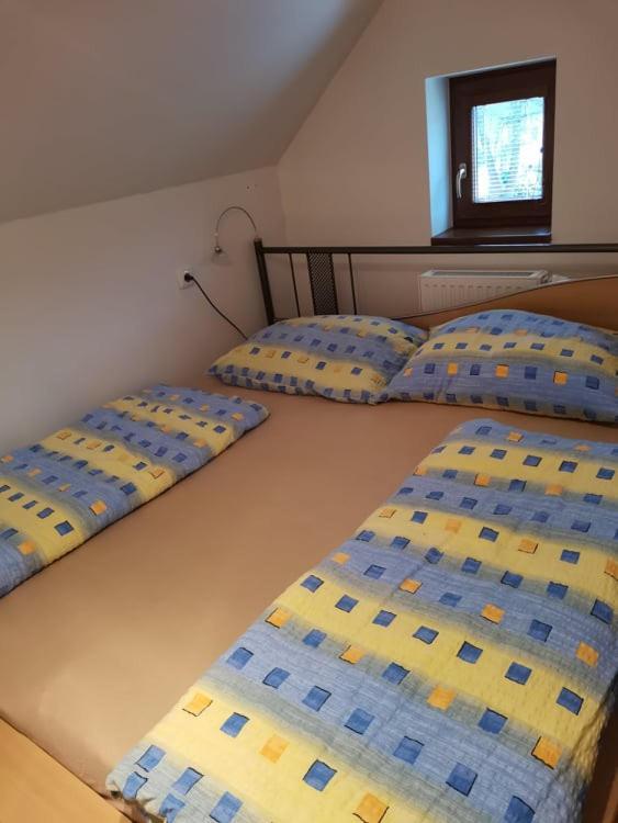 דירות Chřibská Apartman Damiko מראה חיצוני תמונה